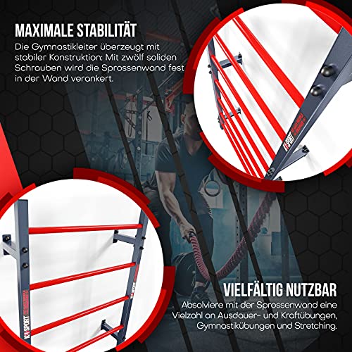 K-Sport: Barras de pared con 8 peldaños, muro de escalada para montaje en pared, muro de peldaño para interiores y exteriores, estación de fuerza para un entrenamiento muscular eficaz, para el hogar