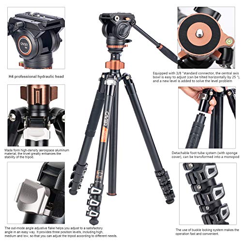 Kit de monopie para trípode de Video Profesional, Cayer AF2451 Trípode telescópico con Cierre telescópico de 67 Pulgadas con Cabezal de Fluido H4 y Base de trípode extraíble para cámaras DSLR