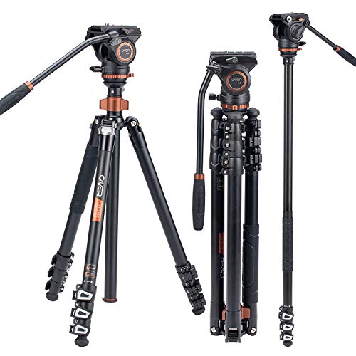 Kit de monopie para trípode de Video Profesional, Cayer AF2451 Trípode telescópico con Cierre telescópico de 67 Pulgadas con Cabezal de Fluido H4 y Base de trípode extraíble para cámaras DSLR