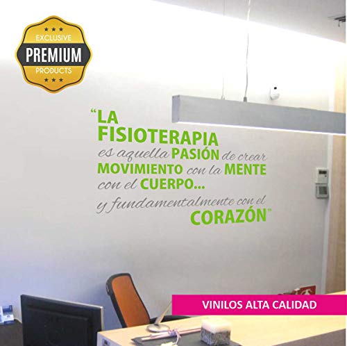 La Tienda de las Pegatinas® Vinilo Qué es Fisioterapia, Decoración Casa, Zen, Fisio, Relax, Masajes, Gimnasio, Sticker, Pegatina de pared. (Grande 193 x 118 cm, Gris - Turquesa)