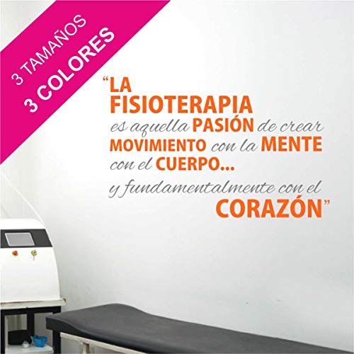 La Tienda de las Pegatinas® Vinilo Qué es Fisioterapia, Decoración Casa, Zen, Fisio, Relax, Masajes, Gimnasio, Sticker, Pegatina de pared. (Grande 193 x 118 cm, Gris - Turquesa)