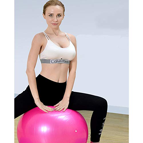 Lhbfcy Pelota Pilates Pelota de Ejercicio 55 cm Fitness Pelota de Yoga Ejercicio Casa Pelota de Yoga Ejercicios Abdominales, Ejercicios Básicos de Rehabilitación de Hombros, Ejercicio Físico (Rosa)