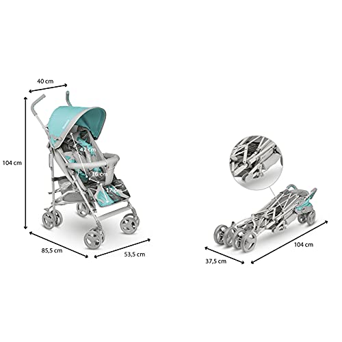 LIONELO Elia Carrito Para niños de 15 kg Mosquitero, cubierta para las piernas y protector de lluvia 6-36M Regulación del respaldo y plegado sencillo Toldo con ventanilla Design único Cesta Turquesa