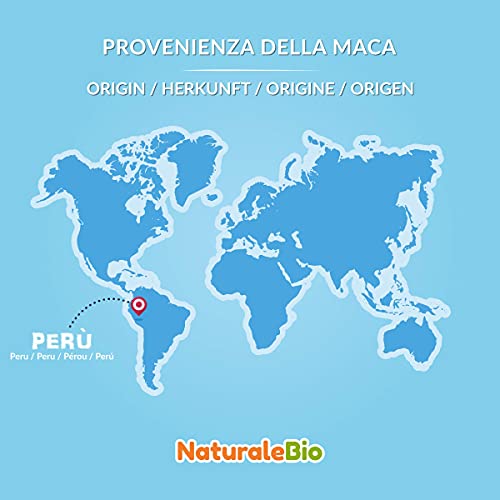 Maca Andina Ecológica en Polvo 400g. Organic Maca Powder Gelatinized. Peruana, Bio y Pura, viene de raíz de Maca Organica - Gelatinizada - NaturaleBio