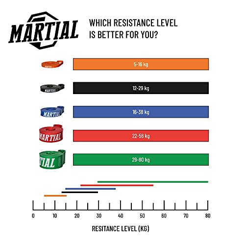 Martial Bandas Elásticas de Musculación para Entrenamientos Avanzados – Bandas de Resistencia Duraderas y Resistentes al Desgarro - 5 Niveles de Resistencia – Incluye Bolsa y Guía – Elásticos Fitness