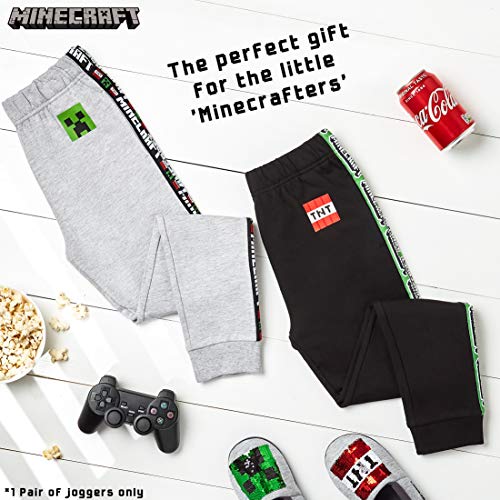 Minecraft Chandal Niño, Ropa Niño Deportiva, Pantalon Chandal en Color Gris o Negro, Pantalones Deporte Largos para Chicos, Regalos para Niños y Adolescentes Edad 5-14 Años (13-14 años, Gris)