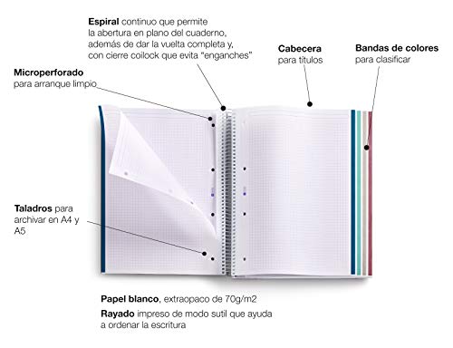 Miquelrius 47718 - Cuaderno A5, Tapa Dura, 120 Hojas Cuadrícula Interior, 4 Colores Constelación