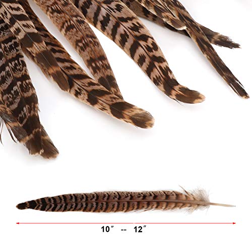 MWOOT plumas de cola de faisán naturales 20pcs 25-30cm decoración ara boda, fiestas de cumpleaños