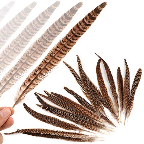 MWOOT plumas de cola de faisán naturales 20pcs 25-30cm decoración ara boda, fiestas de cumpleaños