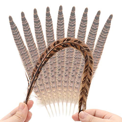 MWOOT plumas de cola de faisán naturales 20pcs 25-30cm decoración ara boda, fiestas de cumpleaños