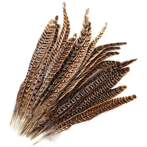 MWOOT plumas de cola de faisán naturales 20pcs 25-30cm decoración ara boda, fiestas de cumpleaños