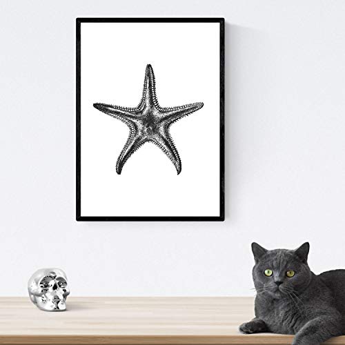 Nacnic Lámina de Estrella de mar. Posters con animales en blanco y negro. Tamaño A4 con marco