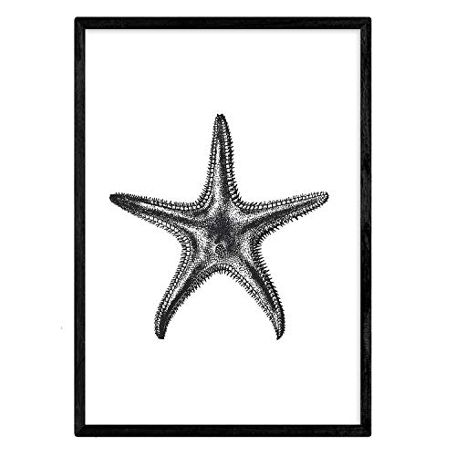 Nacnic Lámina de Estrella de mar. Posters con animales en blanco y negro. Tamaño A4 con marco