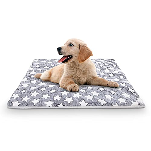 Nobleza colchón para Perros de Franela, colchoneta de Cama para Mascotas Reversible (cálido y frío), colchoneta para Dormir para Mascotas Adecuada para Perros Grandes y pequeños, Gris, L55*W42CM