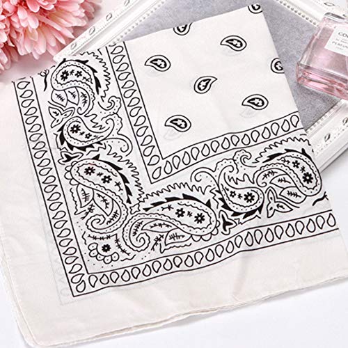 Nuluxi Pañuelo Unisex De Paisley Pañuelos Cabeza Algodon Paisley Bandana Paisley para Cabeza Pelo Cuello Bandana Adecuado para ir en Moto Caminar Deportes Vestirse Casual y Noches Temáticas(5 Piezas)