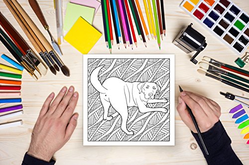 Ojete de perro : Un libro de colorear para adultos amantes de los perros