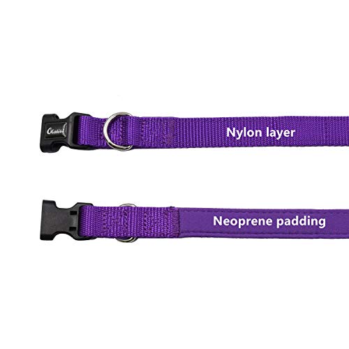 Olahibi Collar básico de neopreno suave y cómodo acolchado de nailon, patrón de color sólido para caminar entrenamiento perros (S, collar morado)