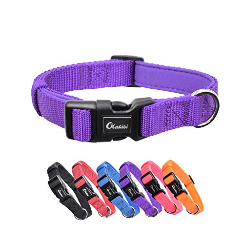 Olahibi Collar básico de neopreno suave y cómodo acolchado de nailon, patrón de color sólido para caminar entrenamiento perros (S, collar morado)