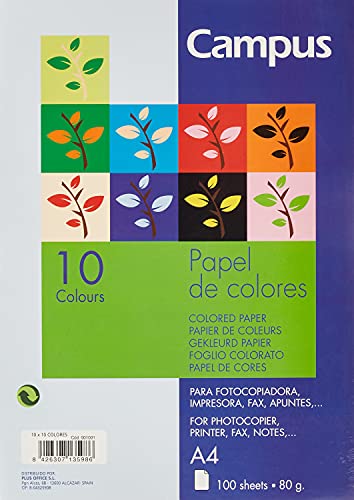 PAPEL COLOR CAMPUS DIN A4 PAQUETE DE 10 COLORES SURTIDOS 100 HOJAS 80 GRAMOS