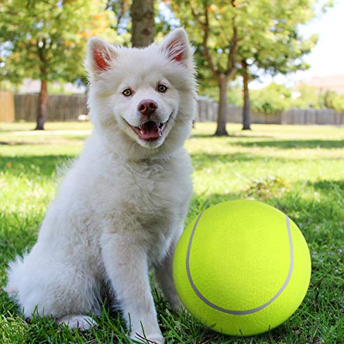 Pelota de tenis grande para mascotas Luoem, de 24,3 cm