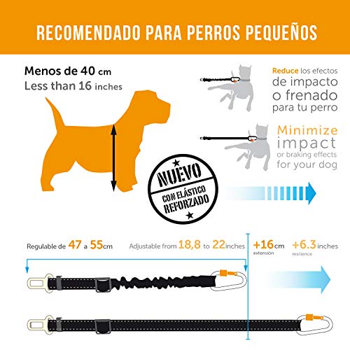 PET & CAR Cinturón de Seguridad Extensible para arnés de Perro. Previene Lesiones de Mascota pequeña en Coche por su Correa elástica, mosquetón Resistente y Ligero con Cierre de Seguridad (XS - S)