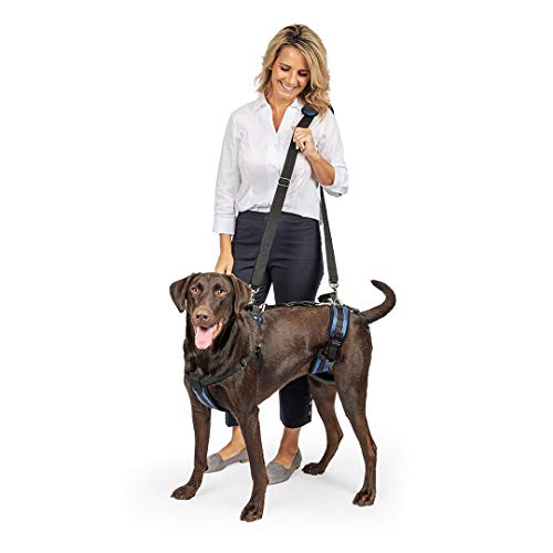 PetSafe Carelift - Arnés de Soporte - Soporte de Cuerpo Completo con Asa - Ideal para Perros Enfermos o Mayores - Material Transpirable y Cómodo - Fácil Ajuste - Perro Grande