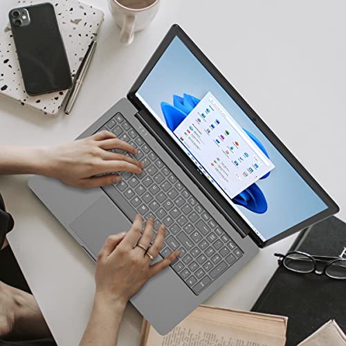 PRIXTON Netbook Pro - Ordenador portatil Pantalla 14,1", Windows 10 Pro, Intel Celeron Gemini Lake N4020, RAM 4GB / ROM 64GB, Teclado en Español