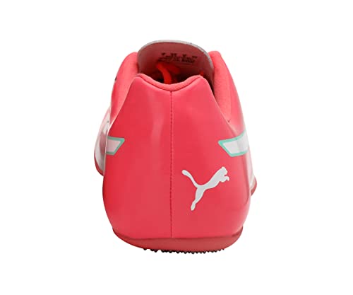 PUMA Evospeed Sprint 10, Zapatillas de Atletismo Unisex Adulto, Rosa (Ignite Pink Silver), 40 EU