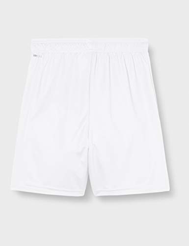 PUMA Teamgoal 23 Knit Shorts Jr Pantalones Cortos, Niños, White, 140