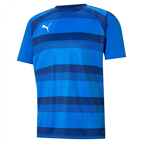 PUMA teamVISION Jersey