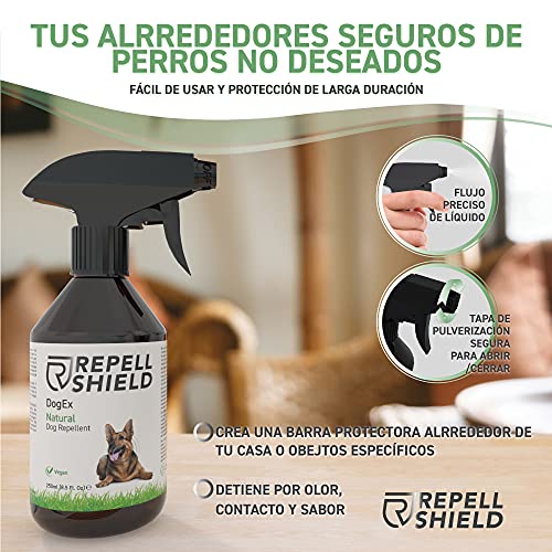 RepellShield Spray Repelente para Perros - Ahuyentador de Perros Natural - Spray Antimordeduras Perros para Exteriores e Interiores, Eficacia Duradera - Pipi Stop con Fragancia de Hierbabuena, 250ml