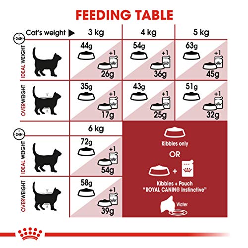 Royal Canin C-58521 Fit - 2 Kg