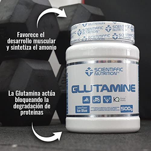 Scientiffic Nutrition - Glutamine Neutro, Glutamina 100% Pura en Polvo Sin Sabor, Favorece el Desarrollo y Recuperación Muscular, con el Sello Kyowa Quality - 500g