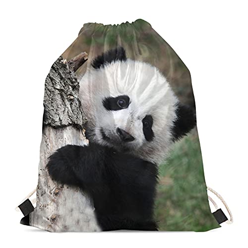 Showudesigns Niños deportes al aire libre gimnasio cordón mochila animal dinosaurio impresión, Panda bonito y moderno, Talla única, animal