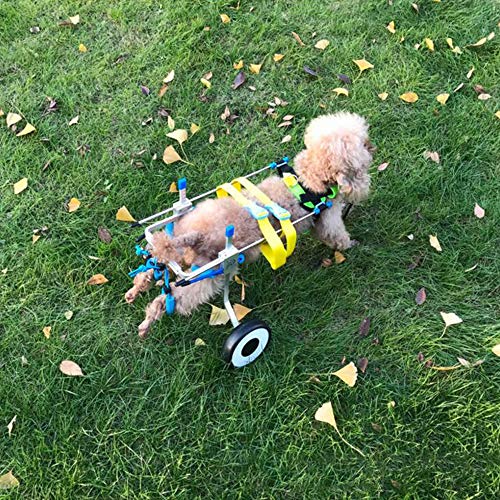 Silla de Ruedas Ajustable para Perros Coche de Entrenamiento de rehabilitación de Mascotas para Gatos y Cachorros Patas traseras Ayuda de rehabilitación Scooter para Perros