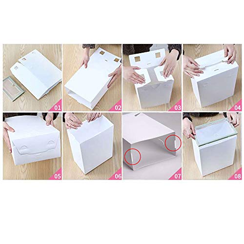 Sinbide 12 x Cajas de Zapatos Plástico, Caja Guardar Zapatos, Calcetines, Juguetes, Cinturones para la Organización de Hogar, Oficina, Plegable, 31cm*21cm*12cm (Blanco, 12)