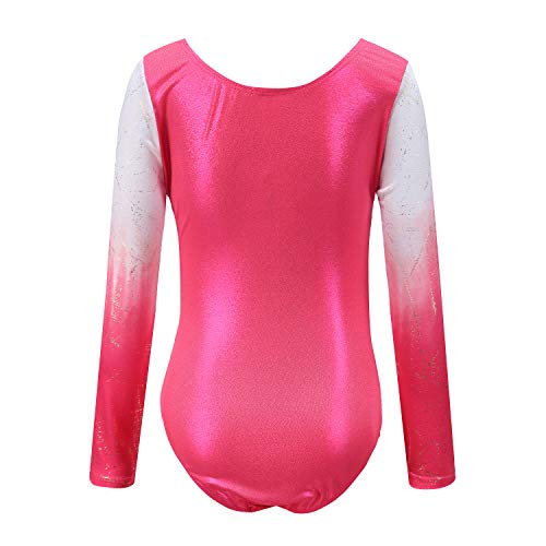 Sinoem Maillot de Gimnasia Leotardos Danza Ballet de sin Mangas 2-10 Años para Niña (Rosa -Manga Larga, 3-4 Años)