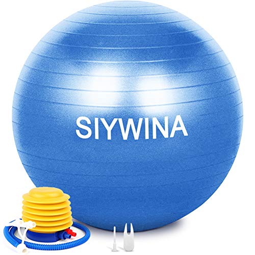 SIYWINA Fitness Pelota de Ejercicio Pelota de Pilates Embarazadas Anti Explosión Yoga Ball para Equilibrio Fitness Entrenamiento