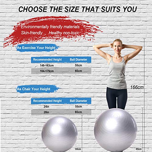 SIYWINA Fitness Pelota de Ejercicio Pelota de Pilates Embarazadas Anti Explosión Yoga Ball para Equilibrio Fitness Entrenamiento