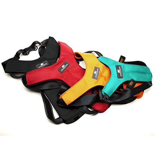 Sleepypod Clickit Sport - Arnés de Coche para Perros