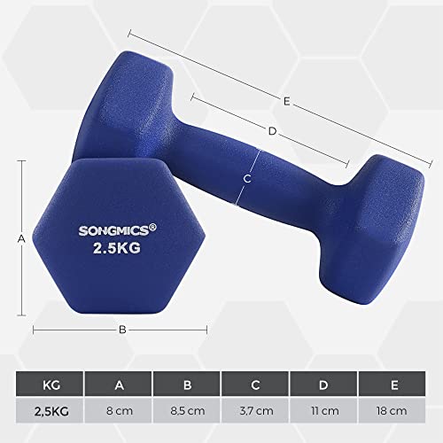 SONGMICS Juego de 2 Mancuernas para Gimnasio y Entrenamiento 2 x 2,5 kg SYL65BU