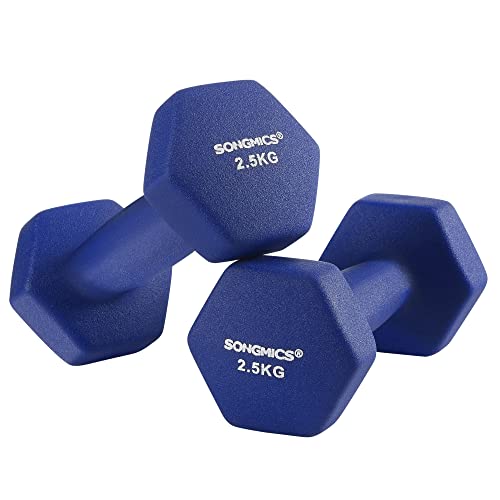 SONGMICS Juego de 2 Mancuernas para Gimnasio y Entrenamiento 2 x 2,5 kg SYL65BU