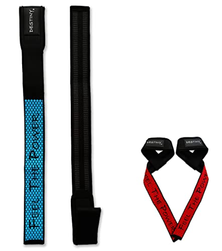 Straps Gym, Correas Levantamiento de Peso, Lifting Straps, Agarraderas Gimnasio con Soporte Acolchado, Straps Powerlifting, Mujeres y Hombres - Destiny SM (Azul)