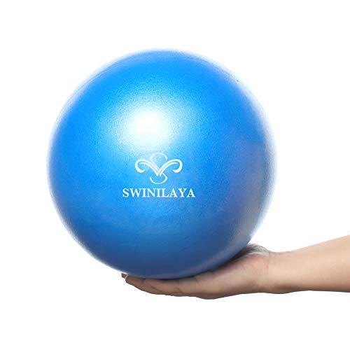 SWINILAYA Pelota de Ejercicios de Yoga y Pilates de 9,8 Pulgadas para Entrenamiento de Equilibrio de Estabilidad para Entrenamiento de núcleo, Mejora el Equilibrio