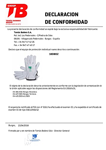 TB Guante de Protección Laboral TB Plus 160IBSZ | Guante de Seguridad para Trabajos con Riesgos Mecánicos y Térmicos. Fabricado en Piel Flor Vacuno, Color Gris - Paquete 10 Pares - Talla 9