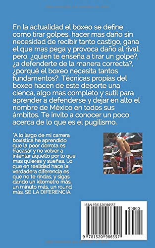 Técnicas De Boxeo