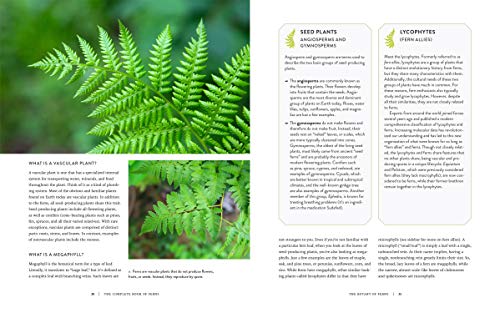 The Complete Book of Ferns: Indoors • Outdoors • Growing • Crafting • History & Lore