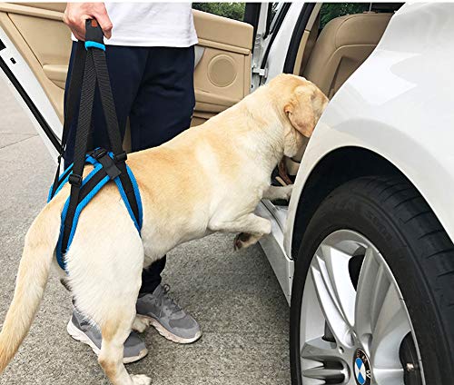 Tineer Dog Lift Arnés para piernas traseras Soporte para Mascotas Arnés Cabestrillo Trasero Ayuda Piernas débiles Levántate Soporte Arnés de Equilibrio para Artritis Rehabilitación Perros (S)