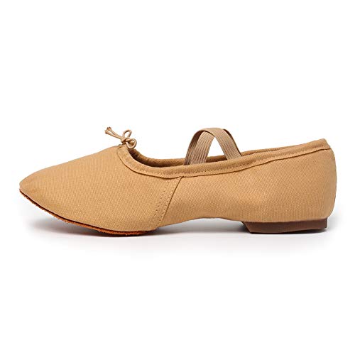 TINRYMX Zapatos de Baile Elásticos de Lona para Mujer Zapatos de Profesor de Carácter de Salón,Camello,35 EU