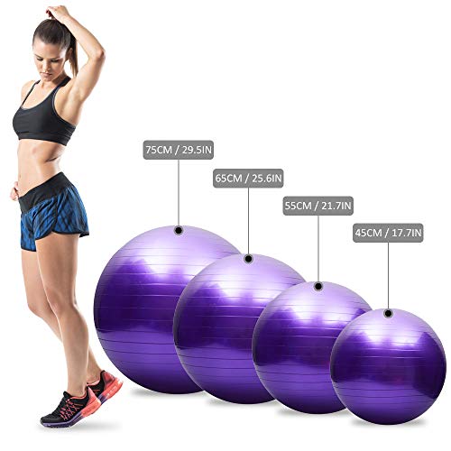 Tomshoo Pelota de yoga antipinchazos, gruesa, estable, pelota de equilibrio, pilates, barra, fitness, 45 cm/55 cm/65 cm/75 cm, bomba de aire, Rosa., 55 cm